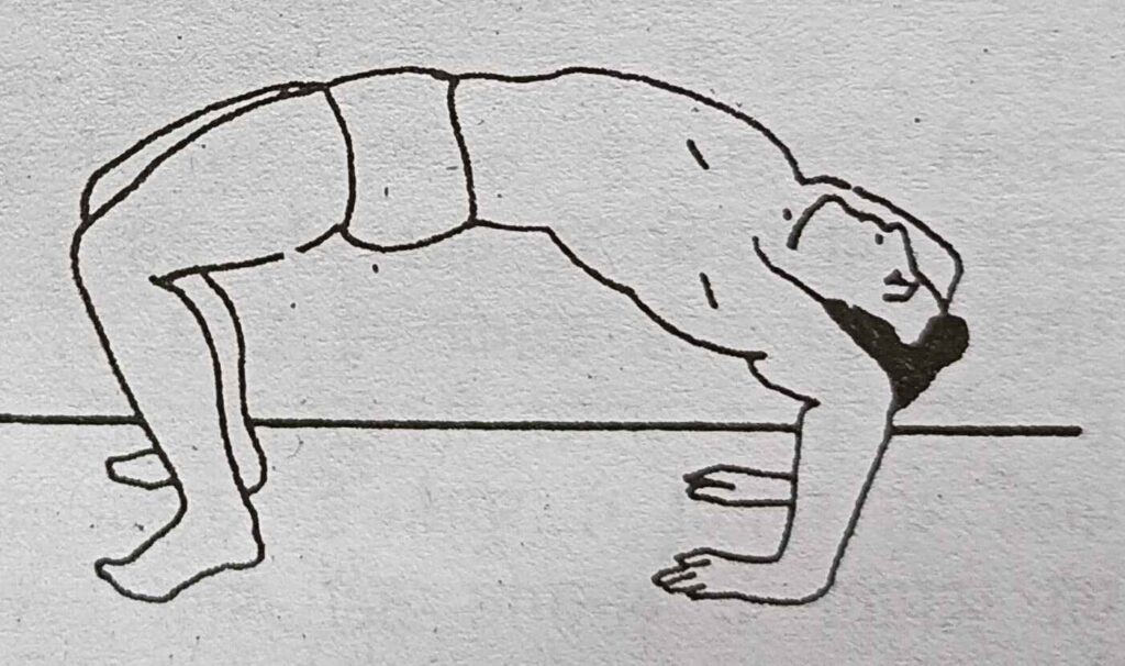  A sketch of a man in a bow pose, demonstrating athleticism with arms supporting his body upside down.