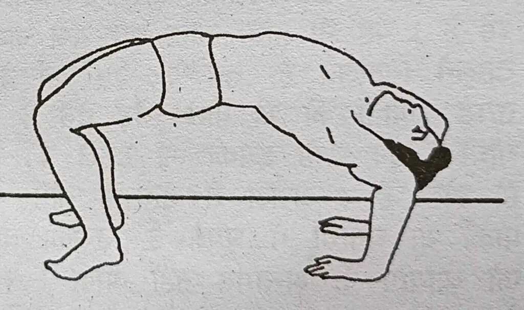  A sketch of a man in a bow pose, demonstrating athleticism with arms supporting his body upside down.