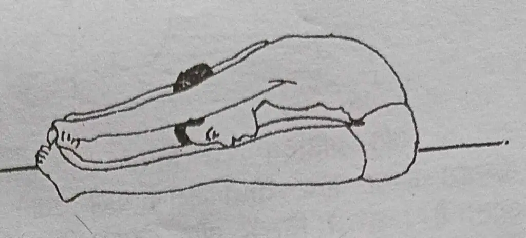  A drawing of a person performing a yoga pose, showcasing balance and flexibility in a serene setting.
